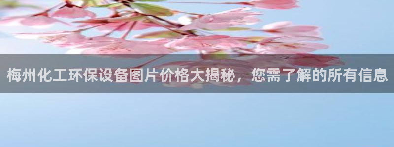 亿万国际游戏官网手机版：梅州化工环保设备图片价格大揭秘，您需了解的所有信息