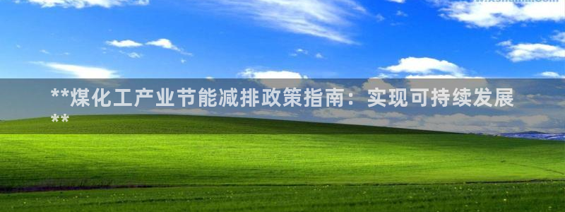 亿万先生游戏：**煤化工产业节能减排政策指南：实现可持续发展
**