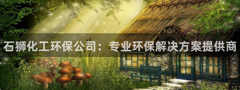 亿万先生007网页登录不了：石狮化工环保公司：专业环保解决方案提供商