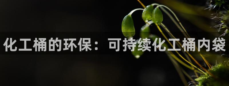 亿万先生客户端官网登录不上：化工桶的环保：可持续化工桶内袋
