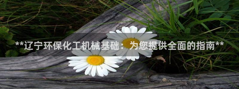 电影 亿万：**辽宁环保化工机械基础：为您提供全面的指南**