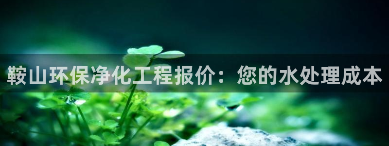 亿万先生客服联系电话：鞍山环保净化工程报价：您的水处理成本