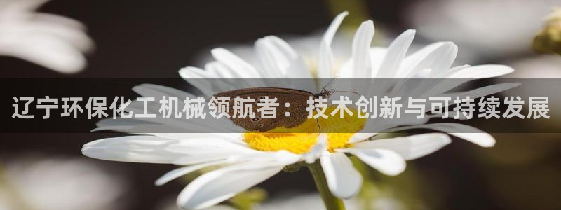 亿万剧集：辽宁环保化工机械领航者：技术创新与可持续发展