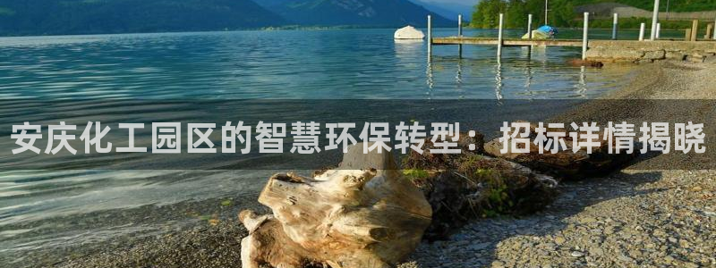 亿万第一集：安庆化工园区的智慧环保转型：招标详情揭晓