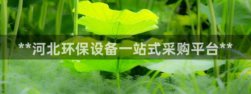 亿万手游官网网址：**河北环保设备一站式采购平台**