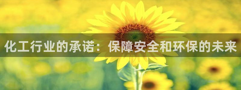 亿万先生是男是女：化工行业的承诺：保障安全和环保的未来
