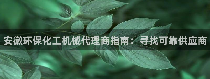亿万先生客户端官网登录不了：安徽环保化工机械代理商指南：寻找可靠供应商