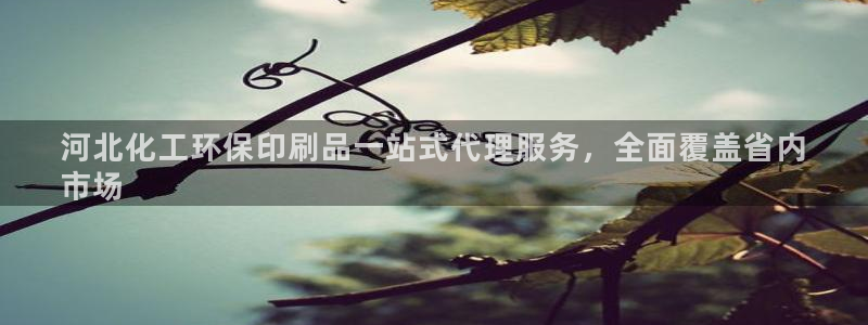 亿万第一季解说