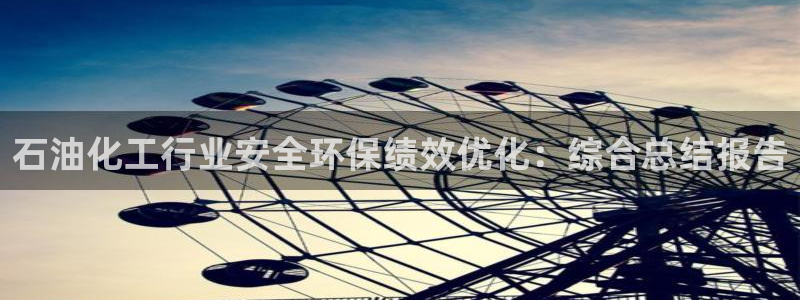 亿万 下载：石油化工行业安全环保绩效优化：综合总结报告