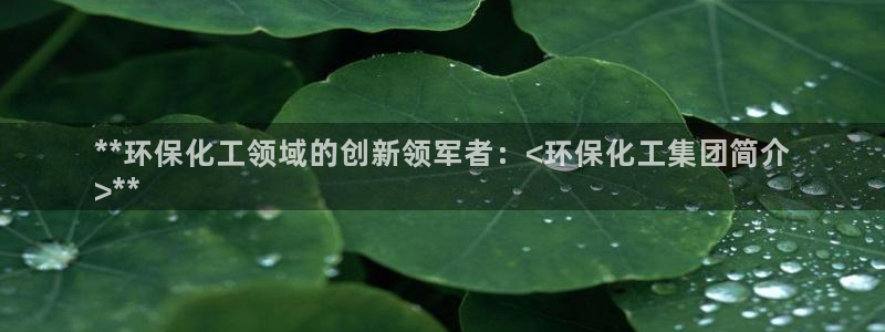 亿万先生合并网址是什么：**环保化工领域的创新领军者：<环保化工集团简介
>**