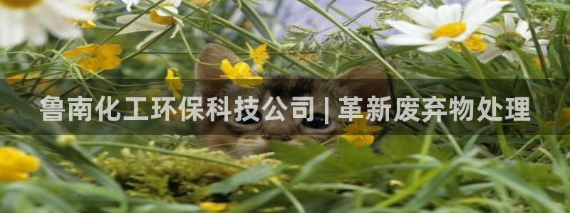 亿万下载第三季：鲁南化工环保科技公司 | 革新废弃物处理