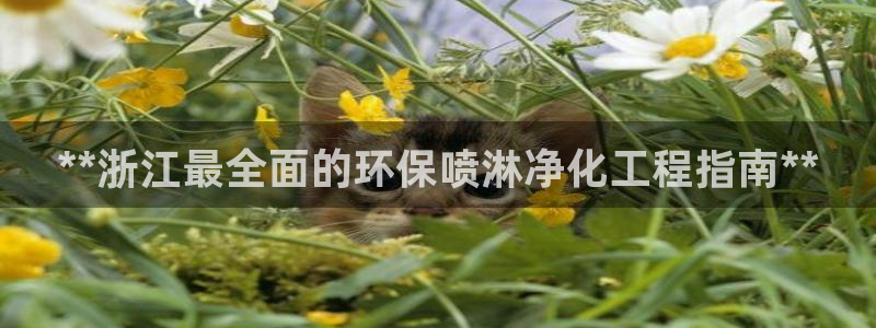 亿万首富游戏：**浙江最全面的环保喷淋净化工程指南**