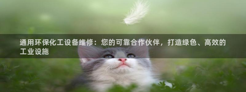 亿万先生客服联系方式：通用环保化工设备维修：您的可靠合作伙伴，打造绿色、高效的
工业设施