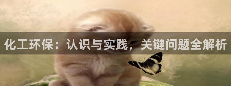 亿万先生手机版入口在哪：化工环保：认识与实践，关键问题全解析