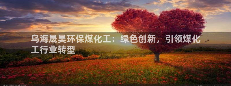 亿万国际合法吗：乌海晟昊环保煤化工：绿色创新，引领煤化
工行业转型