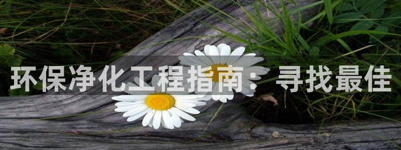 亿万先生：环保净化工程指南：寻找最佳