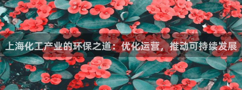 亿万先生网址改了吗：上海化工产业的环保之道：优化运营，推动可持续发展