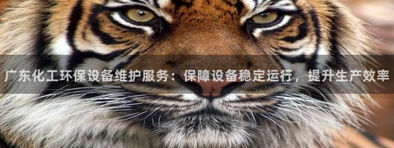 mr亿万先生：广东化工环保设备维护服务：保障设备稳定运行，提升生产效率